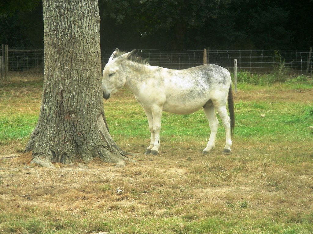 La Gacilly
